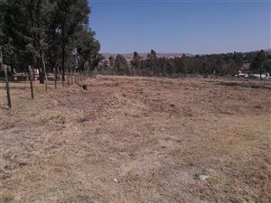 Farm in Ruimsig AH