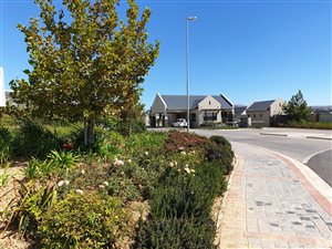 3 Bed House in Graanendal