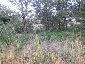 1085 m² Land available in Vaaloewer