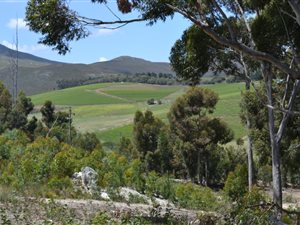Farm in Hemel en Aarde Valley
