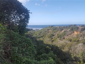 838 m² Land available in Outeniqua Strand