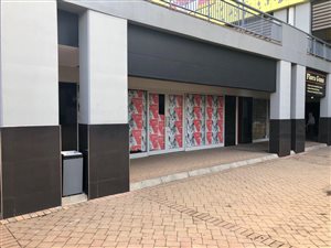 204 m² Commercial space in Weltevreden Park