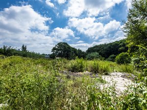 4650 m² Land available in Turffontein