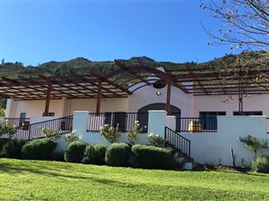40 ha Farm in Wemmershoek