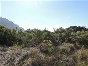 756 m² Land available in Bettys Bay