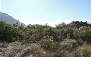 756 m² Land available in Bettys Bay