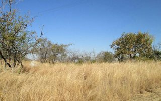 1840 m² Land available in Drum Rock