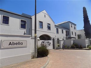 Studio Apartment in Stellenbosch Central