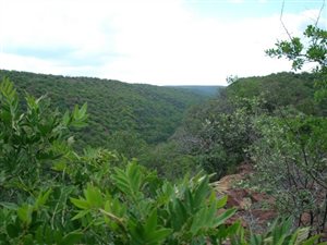 1 ha Land available in Bela-Bela (Warmbaths)