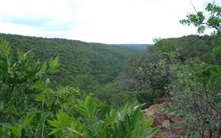 1 ha Land available in Bela-Bela (Warmbaths)