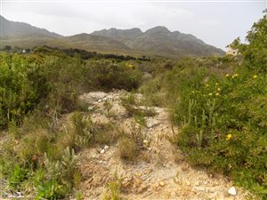 800 m² Land available in Pringle Bay