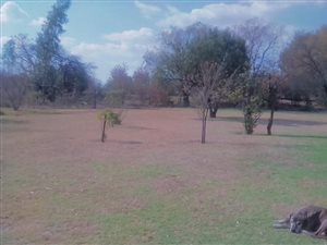 5 Bed House in Wallmannsthal