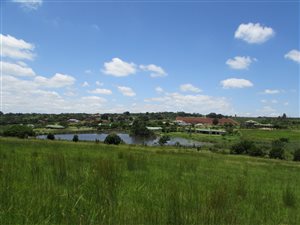 1 ha Land available in White River