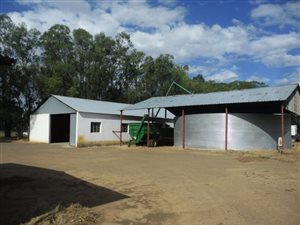 1986 ha Farm in Kroonstad