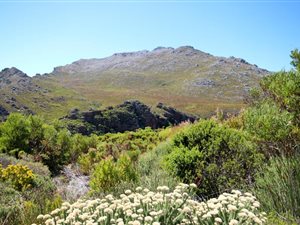 23 ha Farm in Rooi Els