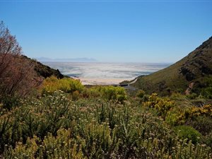 23 ha Farm in Rooi Els