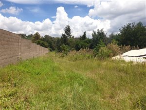 2 ha Farm in Ruimsig