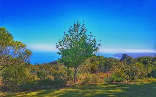 5 ha Farm in Wilderness Heights