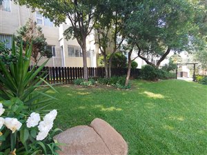 2 Bed Apartment in Noordhang