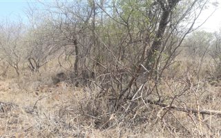 1.4 ha Land available in Steelpoort