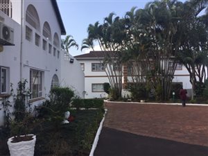 15 Bed House in Berea West