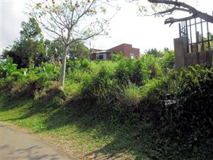 1230 m² Land available in Port Edward