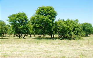 1000 m² Land available in Boschkop