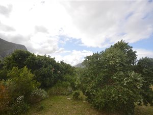 800 m² Land available in Bettys Bay