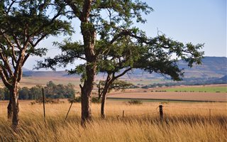 6987 m² Land available in Bergville