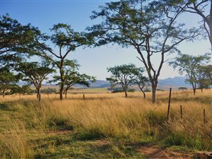 6987 m² Land available in Bergville
