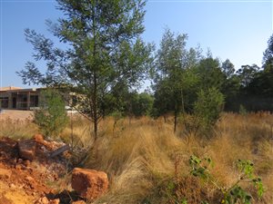 991 m² Land available in Ohenimuri