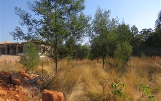 991 m² Land available in Golf View AH