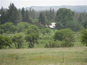 27 ha Farm in Mooiplaats AH