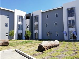 Bellville: Property and houses to rent 