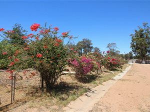 2974 m² Land available in Aurora