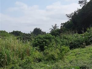 1125 m² Land available in Zinkwazi Beach