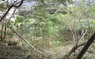 1073 m² Land available in La Mercy