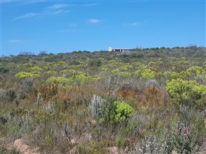 472 ha Farm in Heidelberg Central