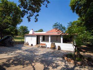21.2 ha Farm in Hartbeesfontein