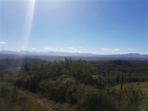 19.7 ha Smallholding in Plettenberg Bay