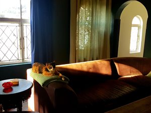 3 Bed House in Fields Hill