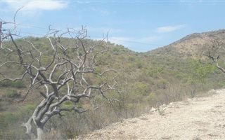1.2 ha Land available in Steelpoort