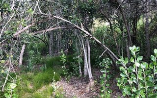 1116 m² Land available in Westford Bridge