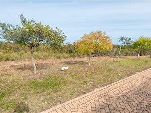 1253 m² Land available in Schoongezicht