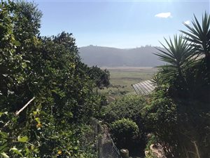 2786 m² Land available in Wilderness