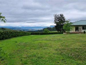96 ha Farm in Bulwer