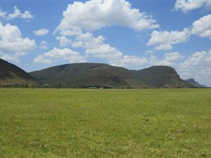 1138 ha Farm in Modimole (Nylstroom)