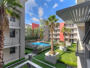 1 Bed Apartment in Houghton Estate