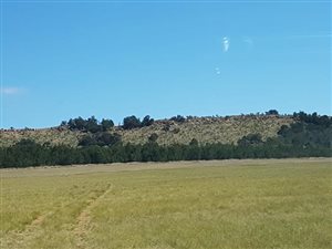 99 m² Farm in Magaliesburg