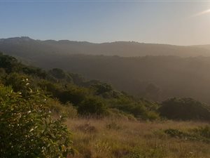 843 m² Land available in Great Brak River